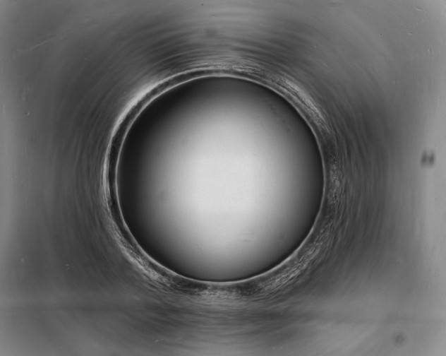 X0000098230788200805011256