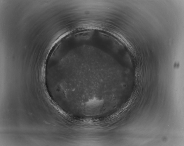 X0000098230790200805011256