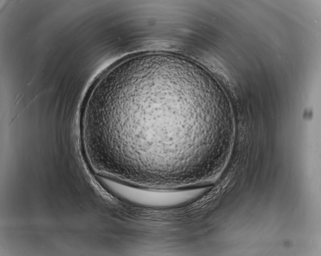 X0000098230792200805011256