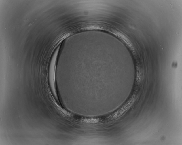 X0000098230793200805011256