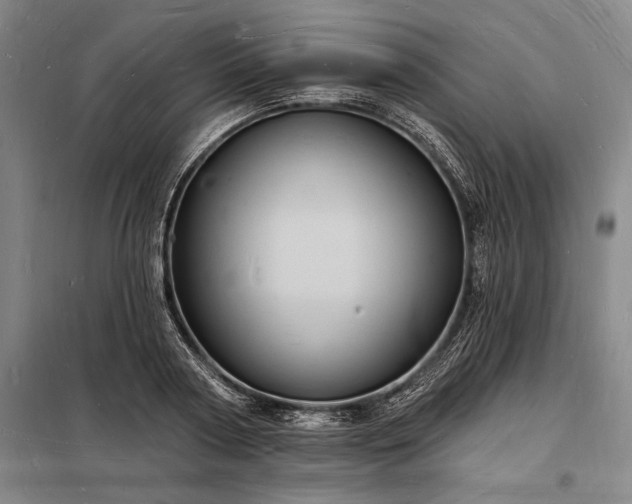 X0000098230794200805011256