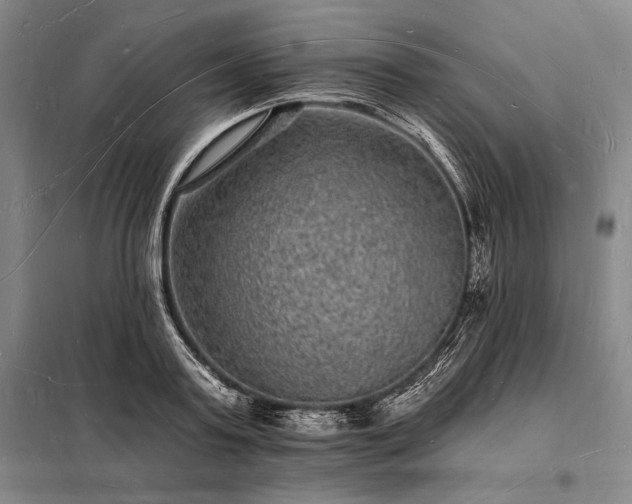 X0000098230795200805011256