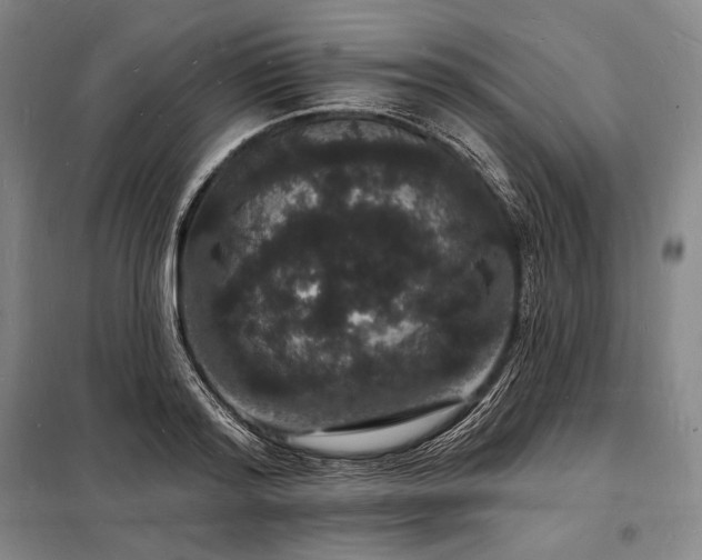 X0000098230796200805011256