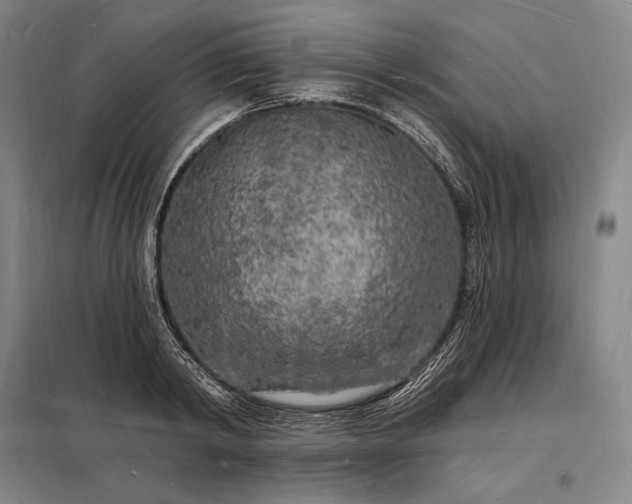 X0000098230798200805011256