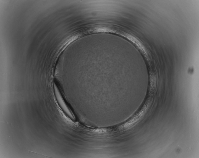 X0000098230801200805011256