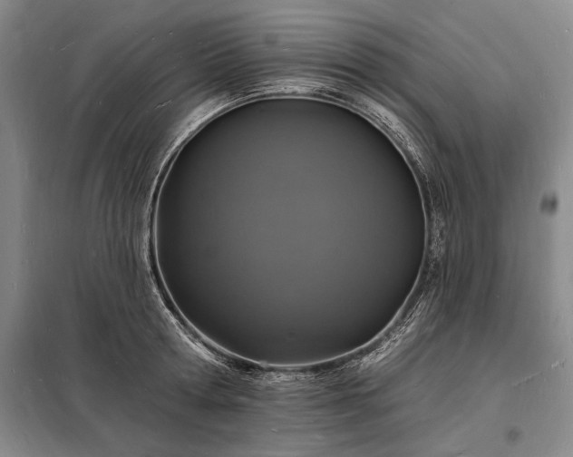 X0000098230802200805011256