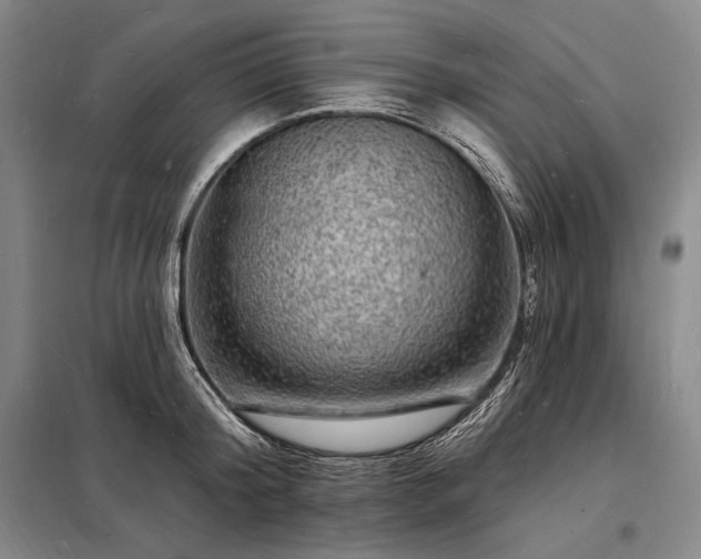 X0000098230804200805011256