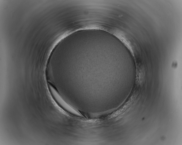 X0000098230805200805011256
