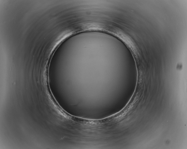 X0000098230806200805011256