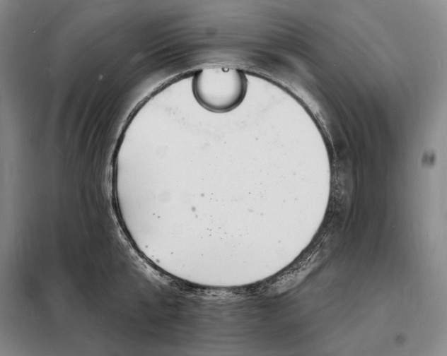 X0000098230807200805011256