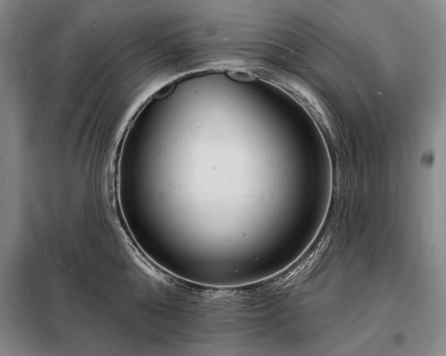 X0000098230808200805011256