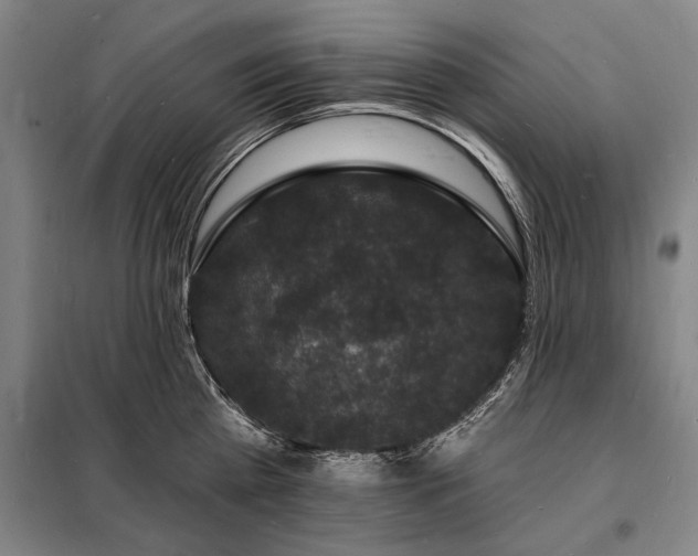 X0000098230809200805011256