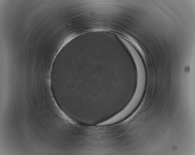 X0000098230810200805011256