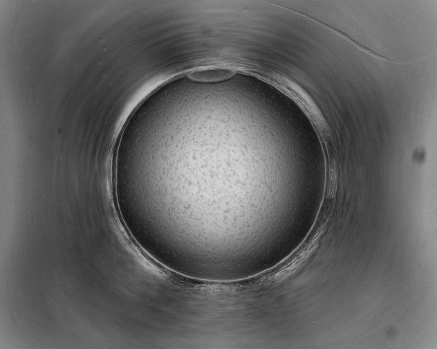 X0000098230812200805011256