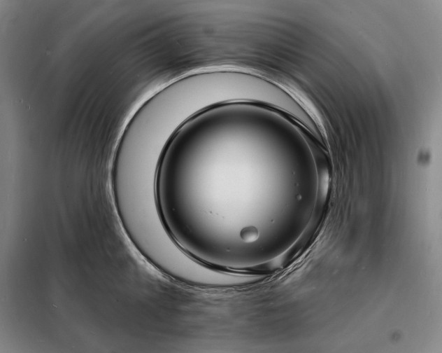 X0000098230813200805011256