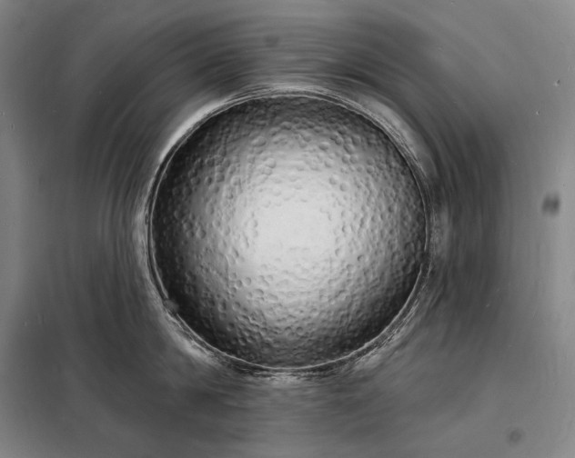 X0000098230814200805011256