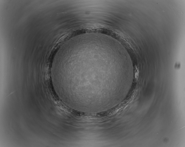 X0000098230819200805011255