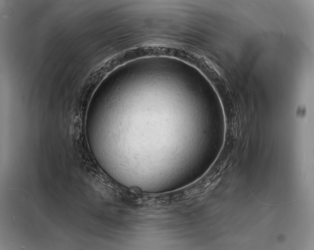 X0000098230821200805011255