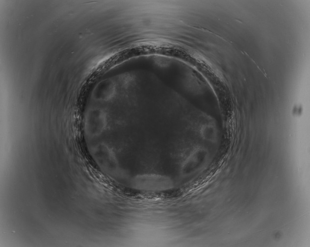 X0000098230822200805011255