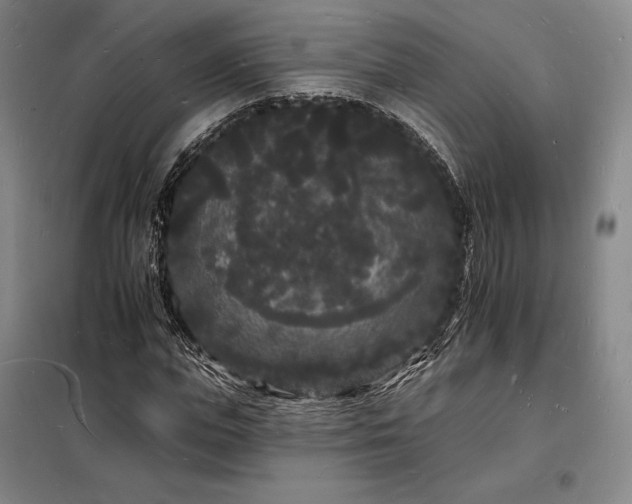 X0000098230823200805011255