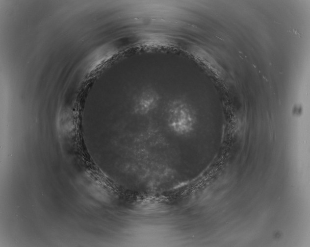 X0000098230824200805011255
