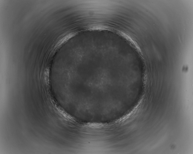 X0000098230825200805011255