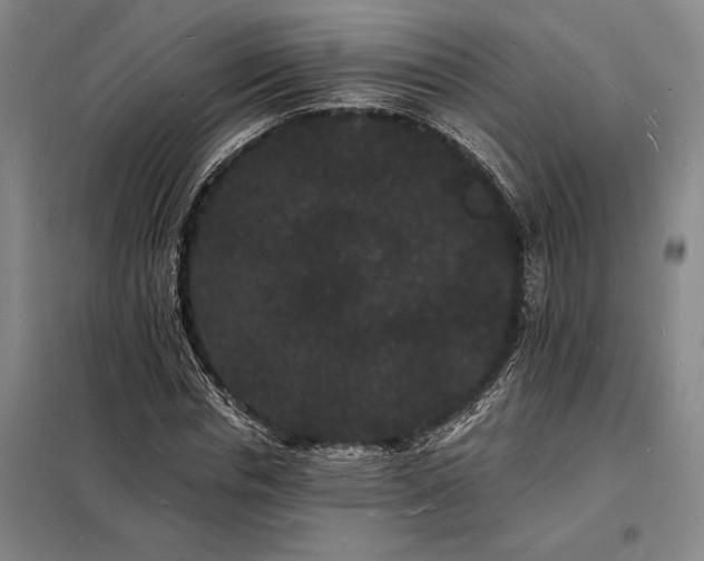 X0000098230826200805011255