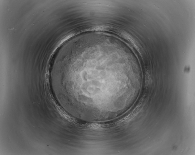 X0000098230827200805011255