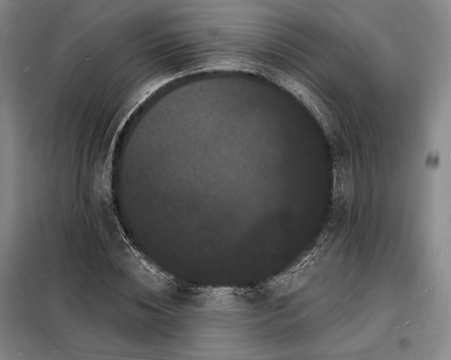 X0000098230828200805011255