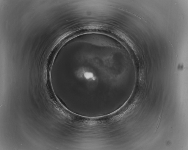 X0000098230829200805011255