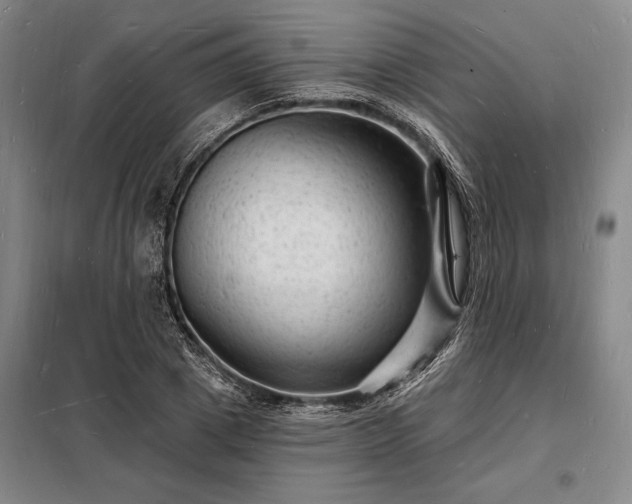 X0000098230833200805011255