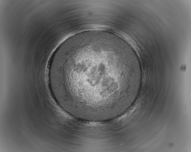 X0000098230835200805011255