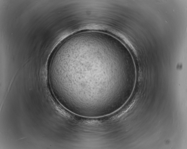 X0000098230837200805011255
