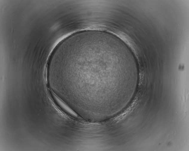 X0000098230838200805011255