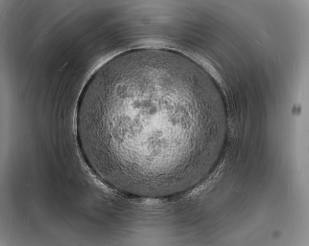 X0000098230839200805011255