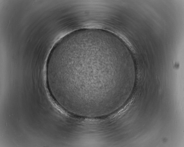 X0000098230840200805011255