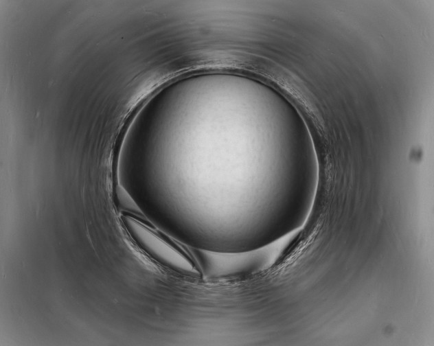 X0000098230842200805011255
