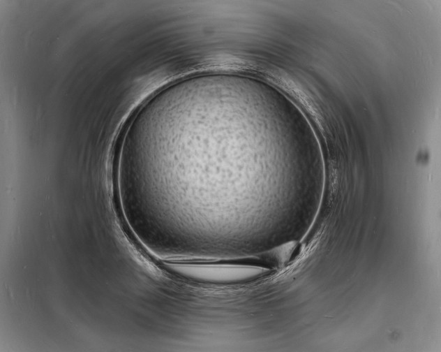 X0000098230843200805011255