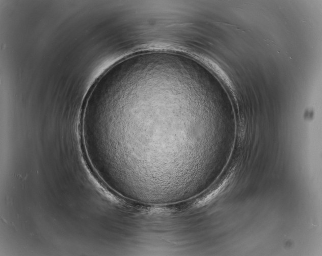 X0000098230847200805011255