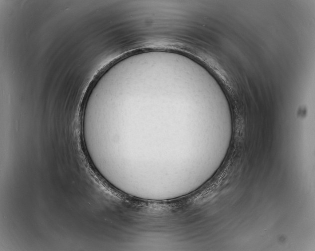 X0000098230848200805011255