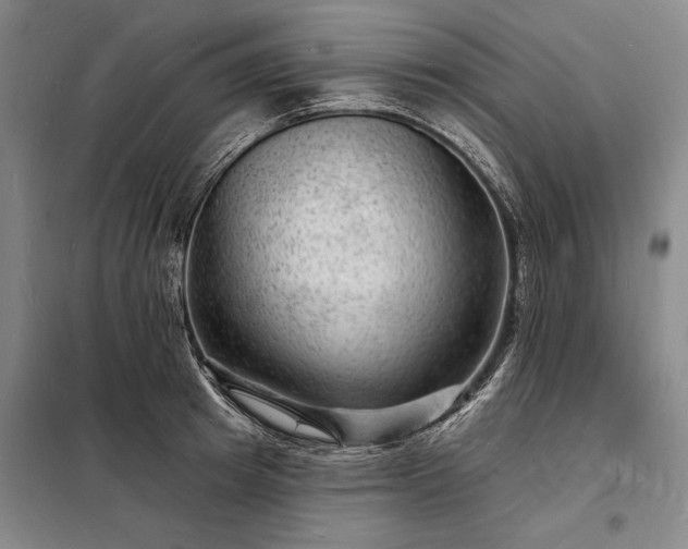 X0000098230849200805011255