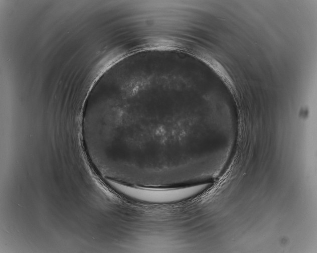 X0000098230850200805011255