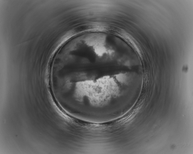 X0000098230851200805011255