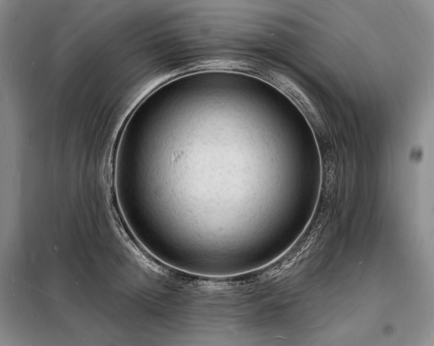 X0000098230852200805011255