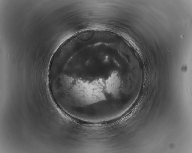 X0000098230853200805011255
