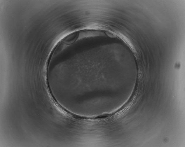X0000098230854200805011255