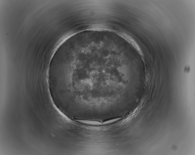 X0000098230855200805011255