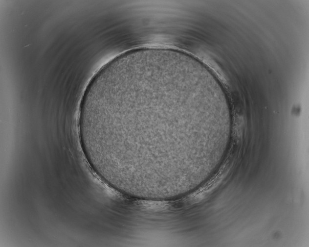 X0000098230856200805011255