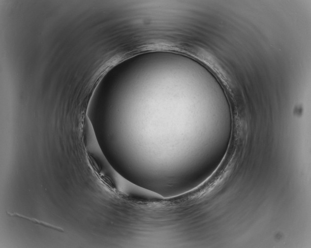 X0000098230857200805011255
