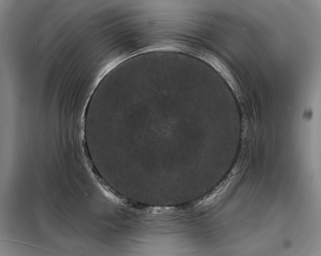 X0000098230858200805011255